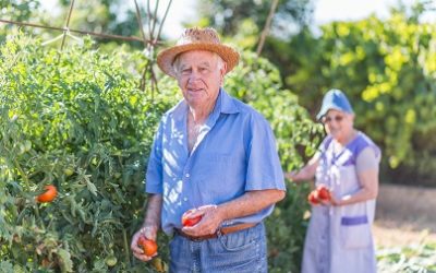 Home Care Services and the Stages of Alzheimer’s disease