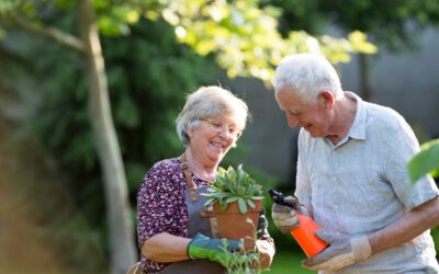 Navigating Home Care Assistance for Seniors: What You Need to Know